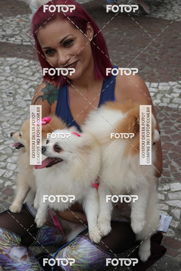 Buy your photos of the event13� C�ominhada - Santos on Fotop