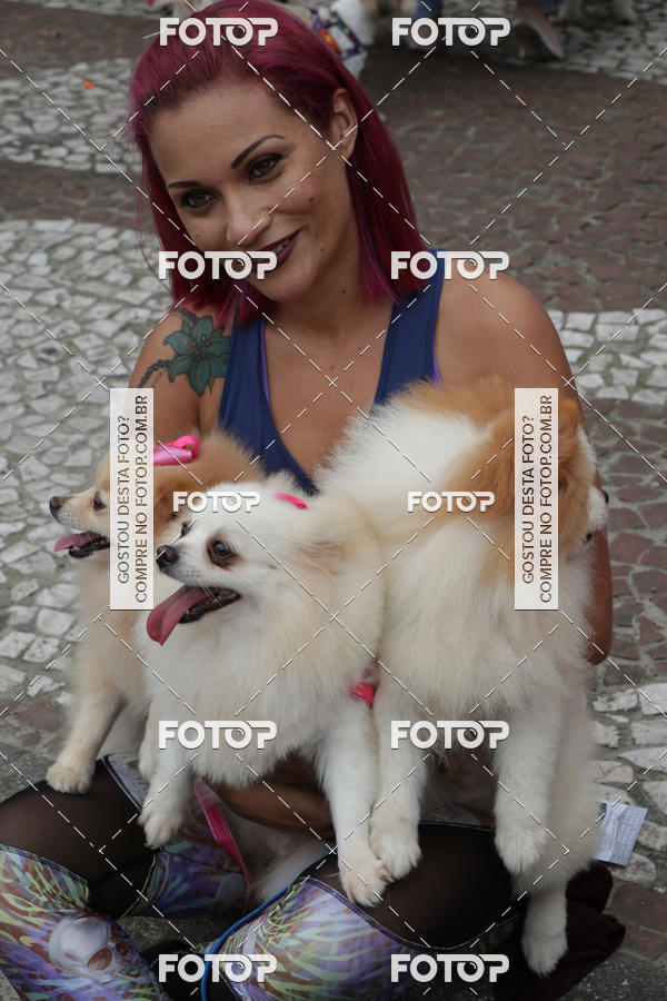 Buy your photos of the event13� C�ominhada - Santos on Fotop