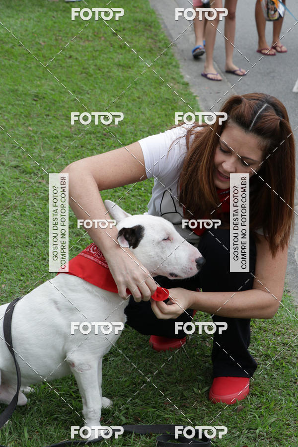 Buy your photos of the event13� C�ominhada - Santos on Fotop