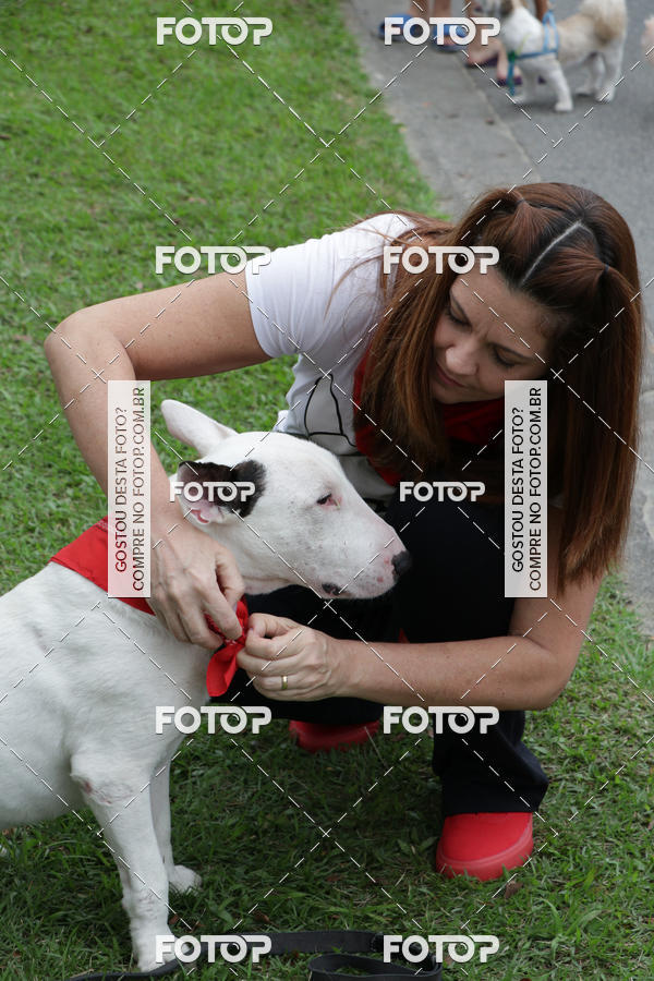 Buy your photos of the event13� C�ominhada - Santos on Fotop