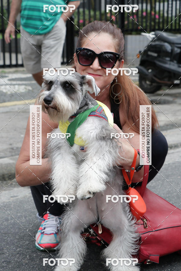 Buy your photos of the event13� C�ominhada - Santos on Fotop