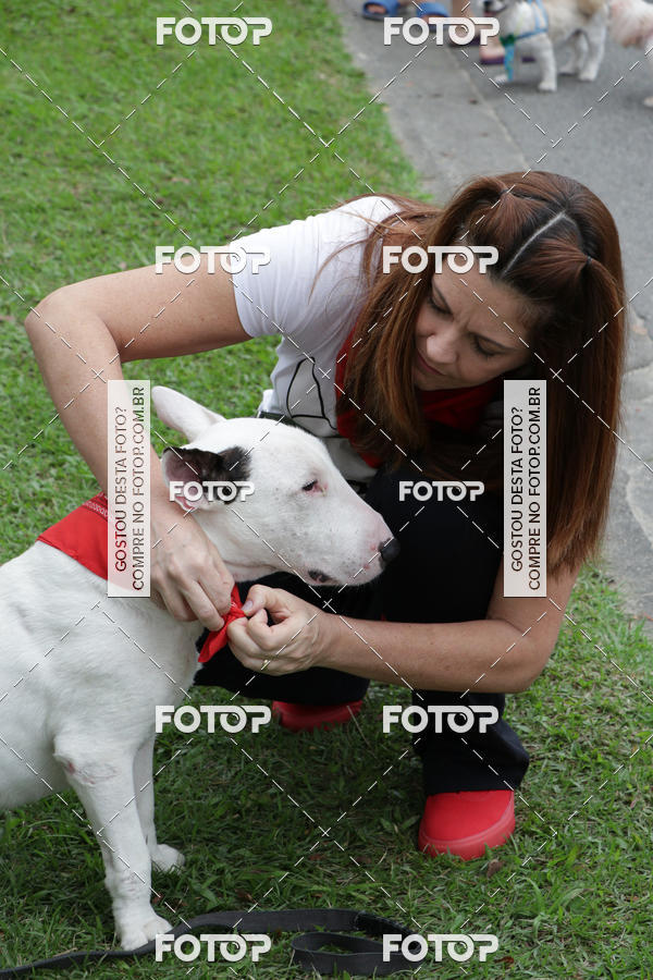 Buy your photos of the event13� C�ominhada - Santos on Fotop