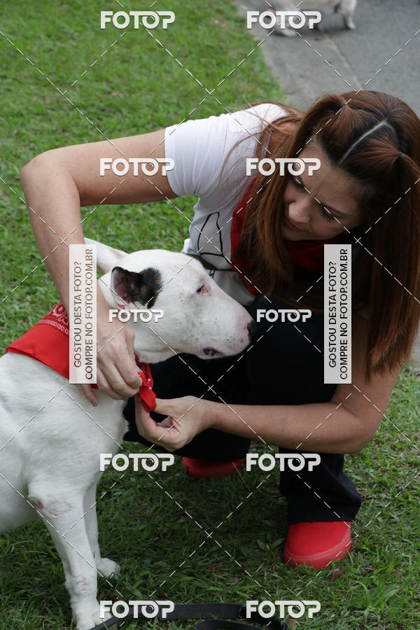 Buy your photos of the event13� C�ominhada - Santos on Fotop