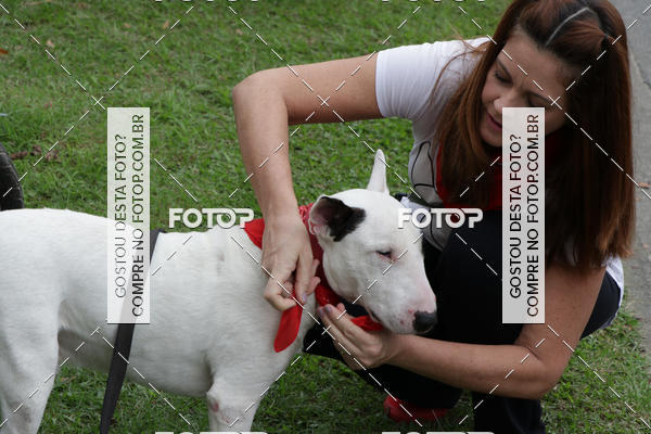 Buy your photos of the event13� C�ominhada - Santos on Fotop