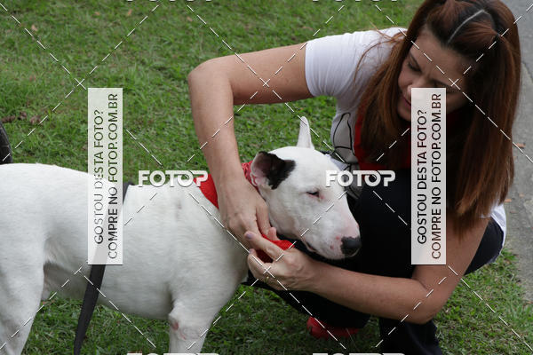 Buy your photos of the event13� C�ominhada - Santos on Fotop