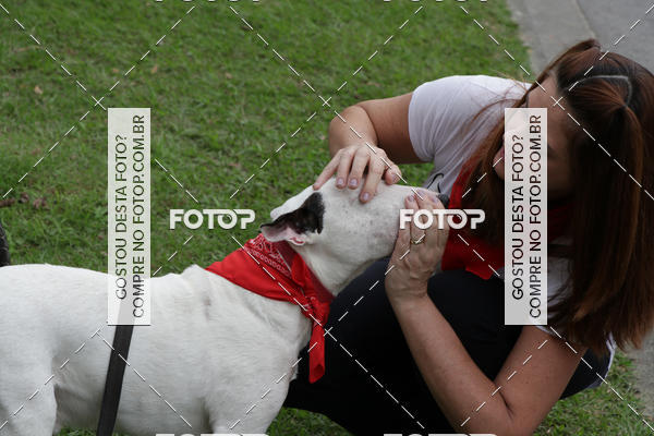 Buy your photos of the event13� C�ominhada - Santos on Fotop