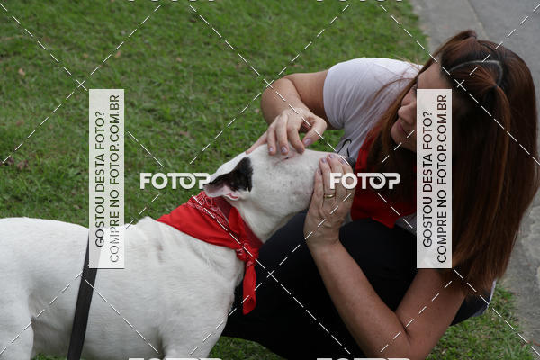 Buy your photos of the event13� C�ominhada - Santos on Fotop