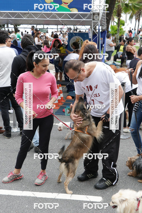Buy your photos of the event13� C�ominhada - Santos on Fotop