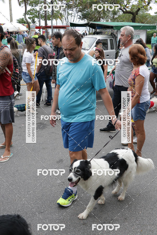Buy your photos of the event13� C�ominhada - Santos on Fotop