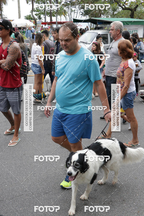 Buy your photos of the event13� C�ominhada - Santos on Fotop