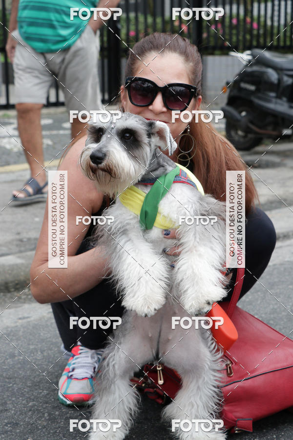 Buy your photos of the event13� C�ominhada - Santos on Fotop