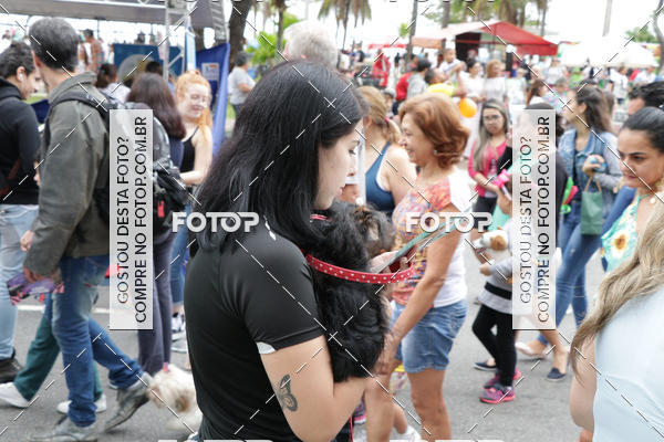 Buy your photos of the event13� C�ominhada - Santos on Fotop