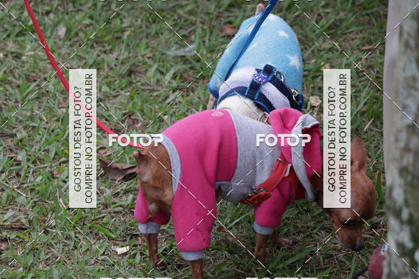 Buy your photos of the event13� C�ominhada - Santos on Fotop