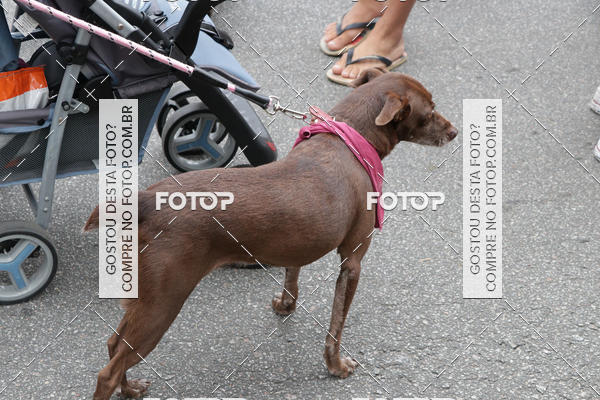 Buy your photos of the event13� C�ominhada - Santos on Fotop