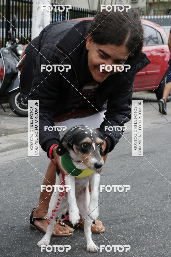 Buy your photos of the event13� C�ominhada - Santos on Fotop
