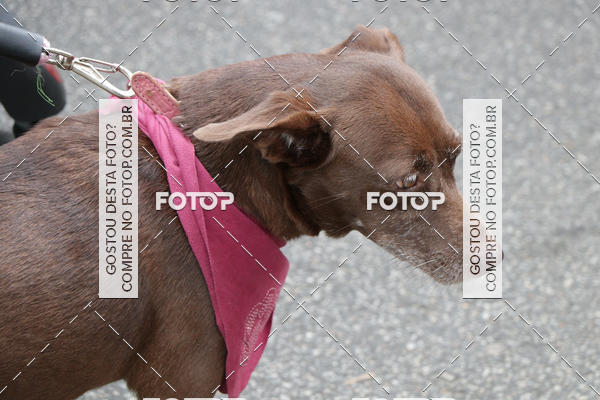 Buy your photos of the event13� C�ominhada - Santos on Fotop