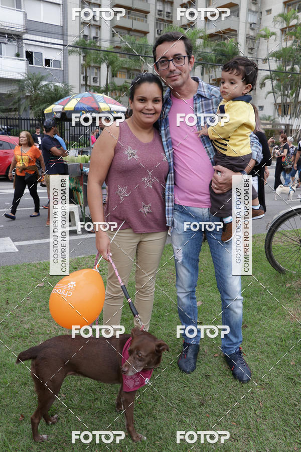 Buy your photos of the event13� C�ominhada - Santos on Fotop