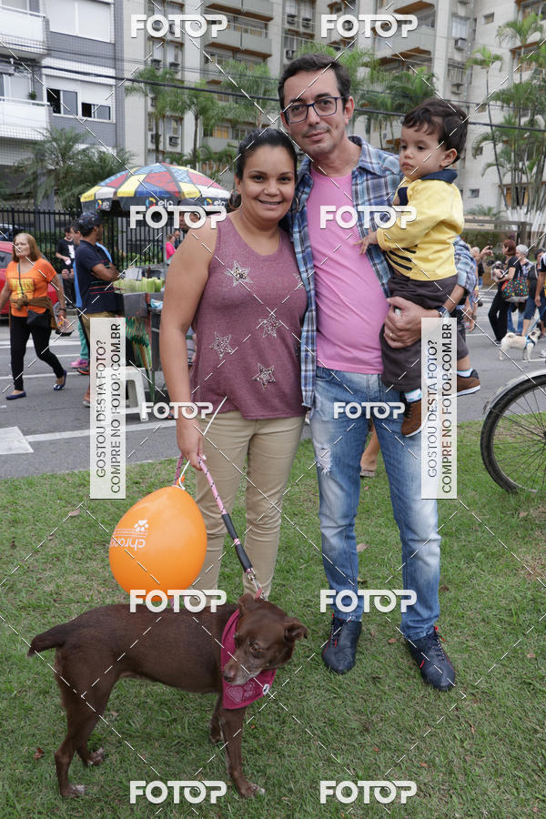 Buy your photos of the event13� C�ominhada - Santos on Fotop