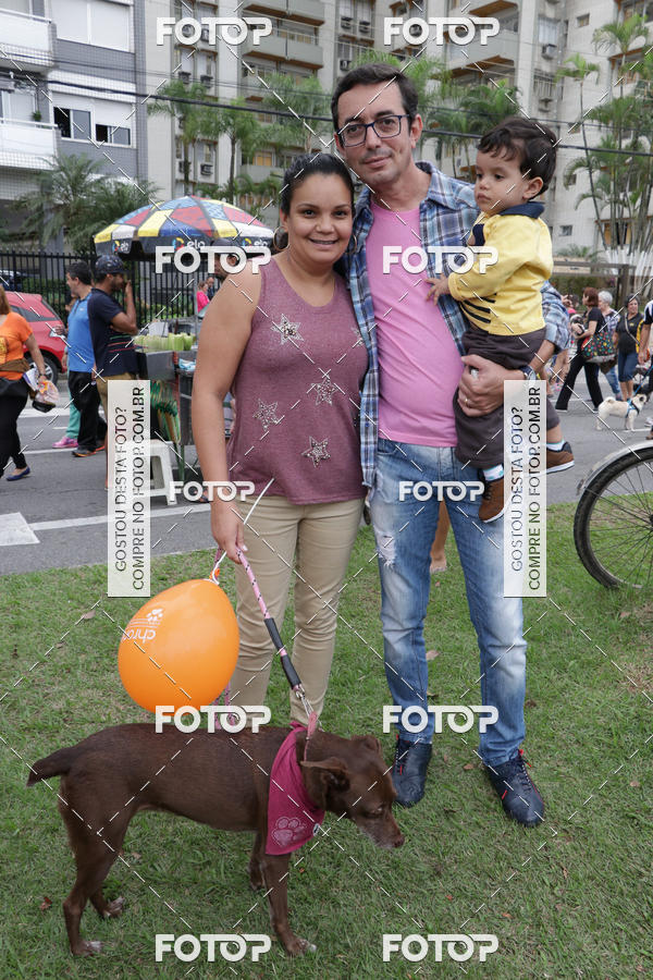 Buy your photos of the event13� C�ominhada - Santos on Fotop