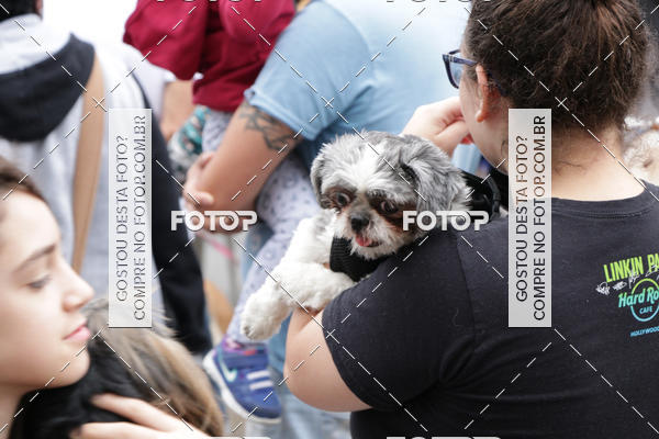 Buy your photos of the event13� C�ominhada - Santos on Fotop