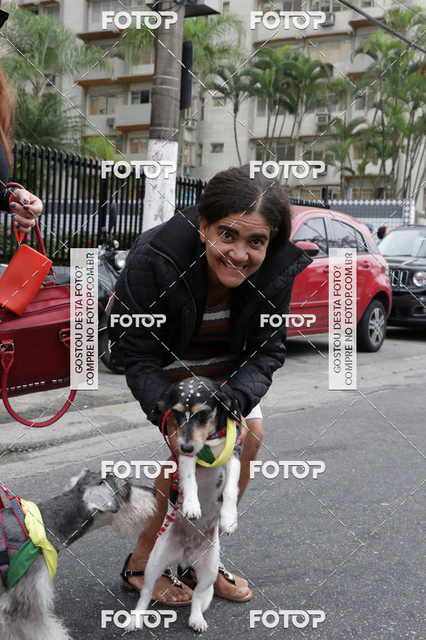 Buy your photos of the event13� C�ominhada - Santos on Fotop