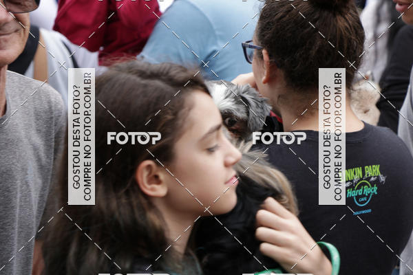 Buy your photos of the event13� C�ominhada - Santos on Fotop