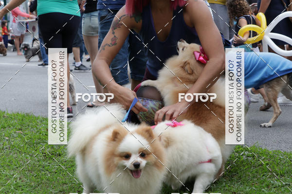 Buy your photos of the event13� C�ominhada - Santos on Fotop