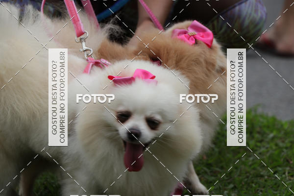 Buy your photos of the event13� C�ominhada - Santos on Fotop