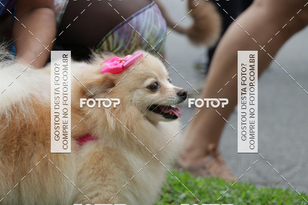 Buy your photos of the event13� C�ominhada - Santos on Fotop