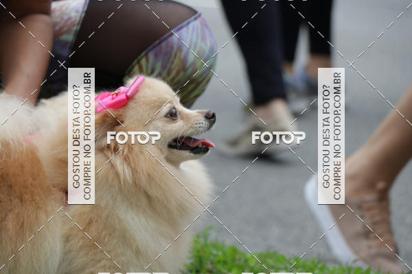 Buy your photos of the event13� C�ominhada - Santos on Fotop