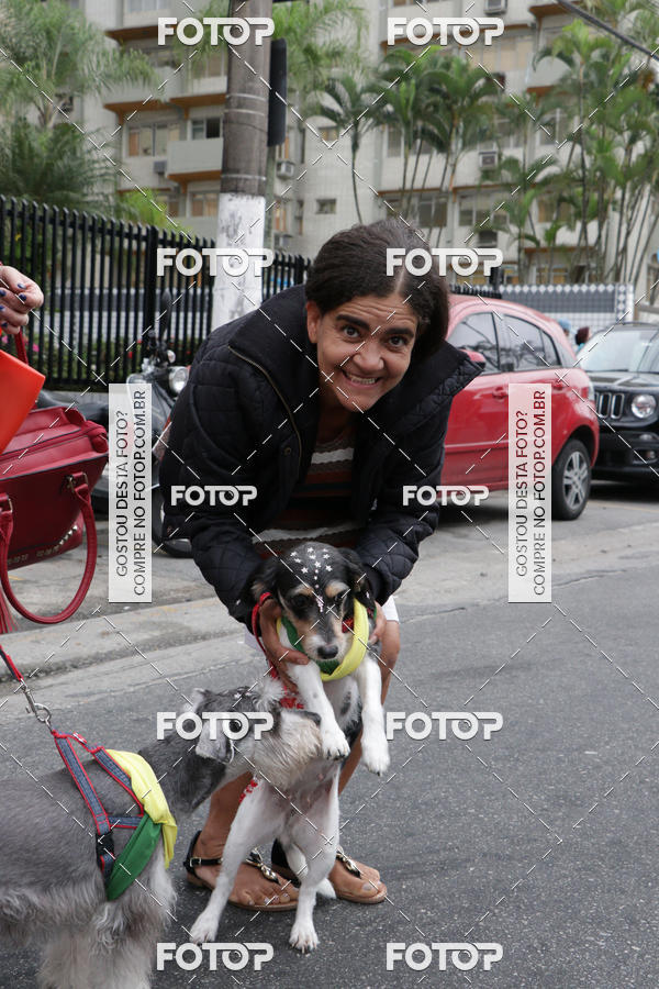 Buy your photos of the event13� C�ominhada - Santos on Fotop