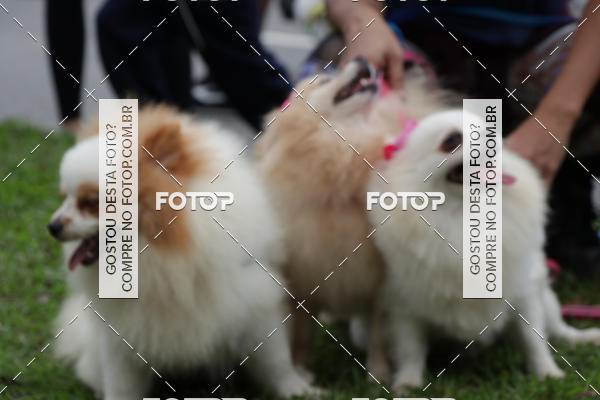 Buy your photos of the event13� C�ominhada - Santos on Fotop