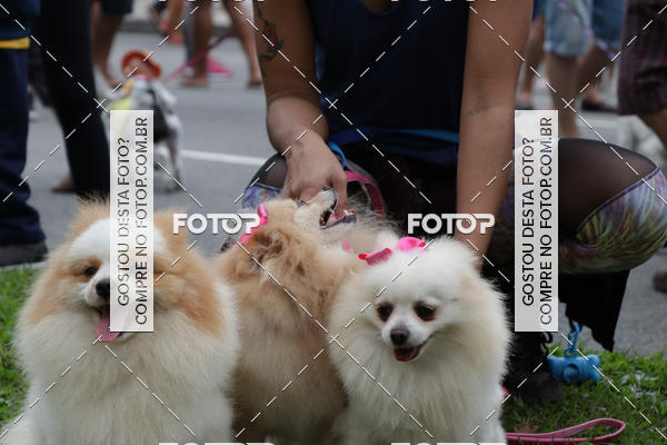 Buy your photos of the event13� C�ominhada - Santos on Fotop