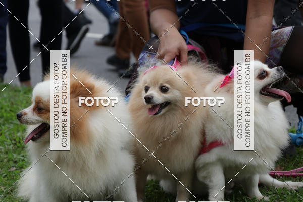 Buy your photos of the event13� C�ominhada - Santos on Fotop