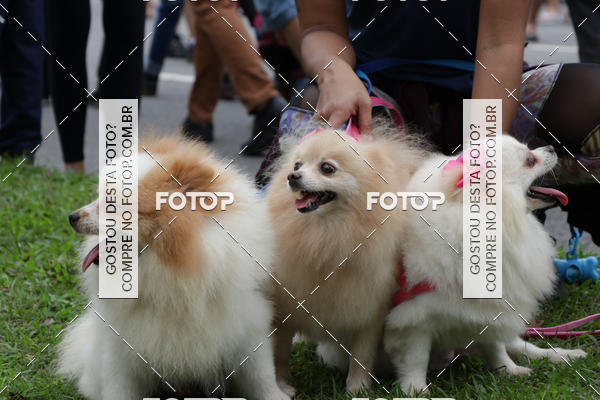 Buy your photos of the event13� C�ominhada - Santos on Fotop