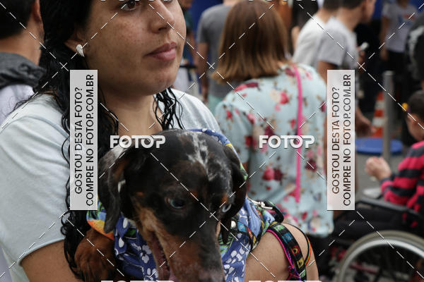 Buy your photos of the event13� C�ominhada - Santos on Fotop