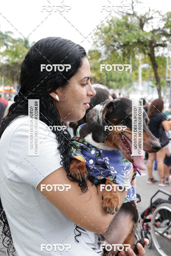 Buy your photos of the event13� C�ominhada - Santos on Fotop