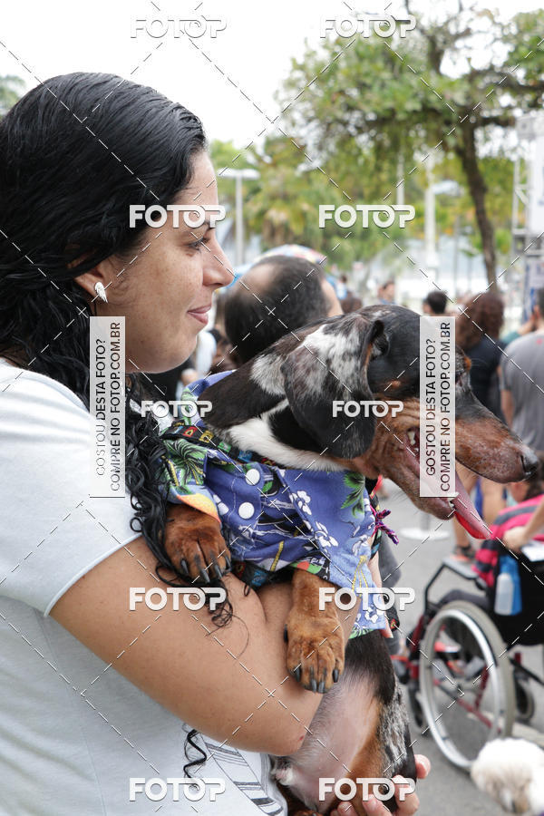 Buy your photos of the event13� C�ominhada - Santos on Fotop