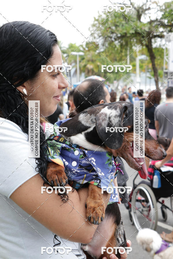 Buy your photos of the event13� C�ominhada - Santos on Fotop