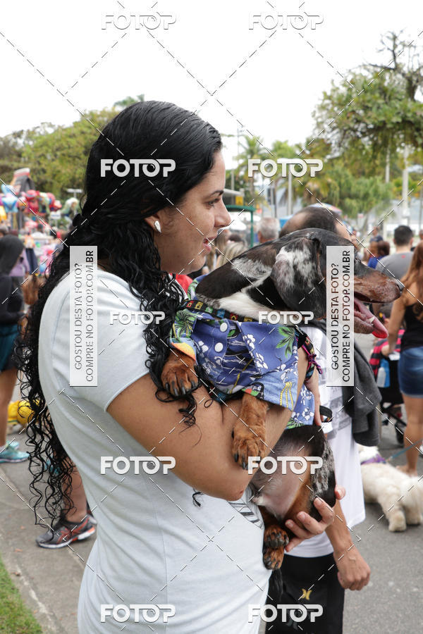 Buy your photos of the event13� C�ominhada - Santos on Fotop