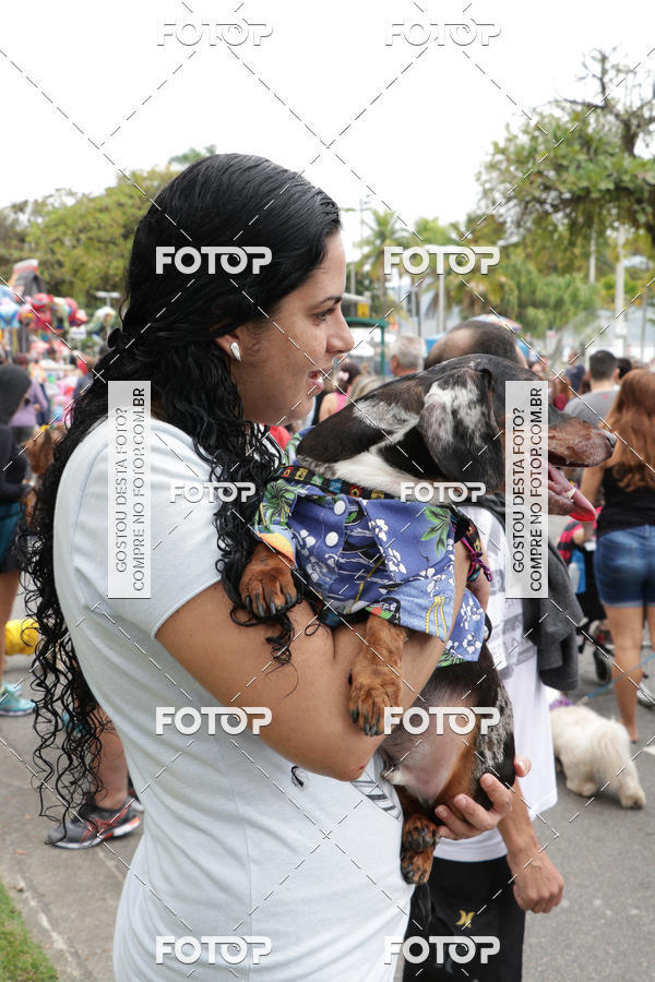 Buy your photos of the event13� C�ominhada - Santos on Fotop