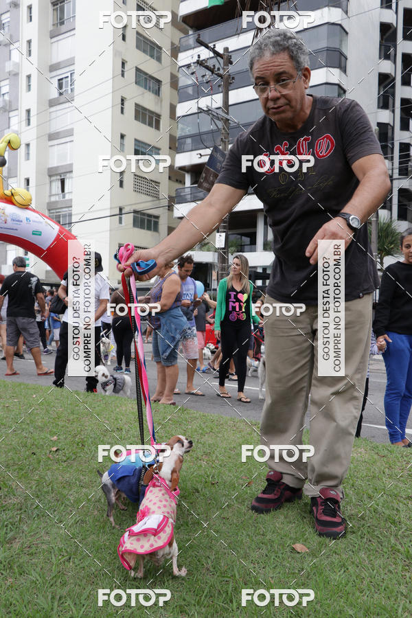 Buy your photos of the event13� C�ominhada - Santos on Fotop