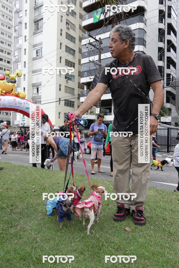 Buy your photos of the event13� C�ominhada - Santos on Fotop