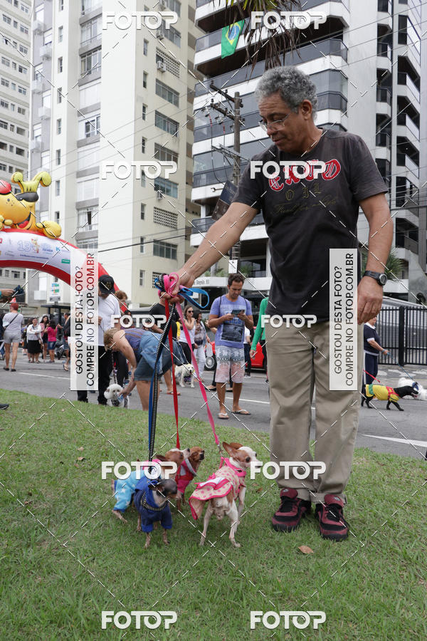 Buy your photos of the event13� C�ominhada - Santos on Fotop