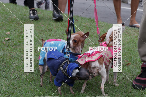 Buy your photos of the event13� C�ominhada - Santos on Fotop