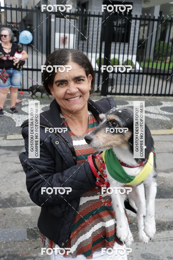 Buy your photos of the event13� C�ominhada - Santos on Fotop