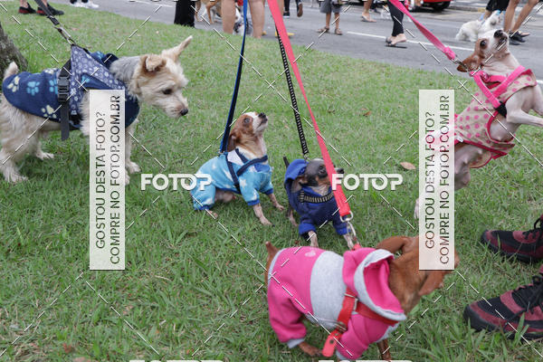 Buy your photos of the event13� C�ominhada - Santos on Fotop