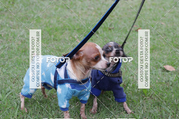 Buy your photos of the event13� C�ominhada - Santos on Fotop