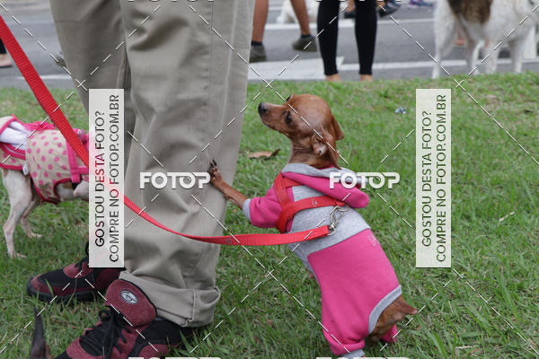 Buy your photos of the event13� C�ominhada - Santos on Fotop