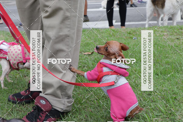 Buy your photos of the event13� C�ominhada - Santos on Fotop